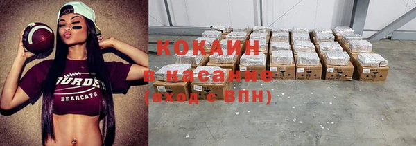 ПСИЛОЦИБИНОВЫЕ ГРИБЫ Абаза