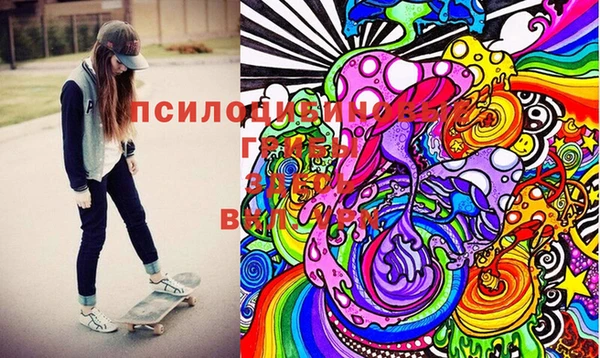 тгк Алексин