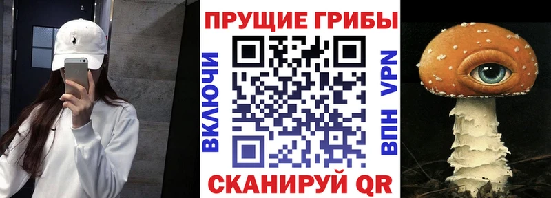 Псилоцибиновые грибы Psilocybine cubensis  Усть-Илимск 